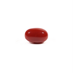 Japanese Red Coral - 3.03 Carat - Pramogh