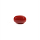Japanese Red Coral - 3.03 Carat - Pramogh