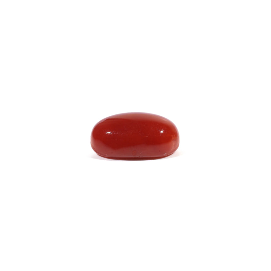 Japanese Red Coral - 3.03 Carat