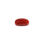 Japanese Red Coral - 3.03 Carat