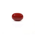 Japanese Red Coral - 4.57 Carat - Pramogh