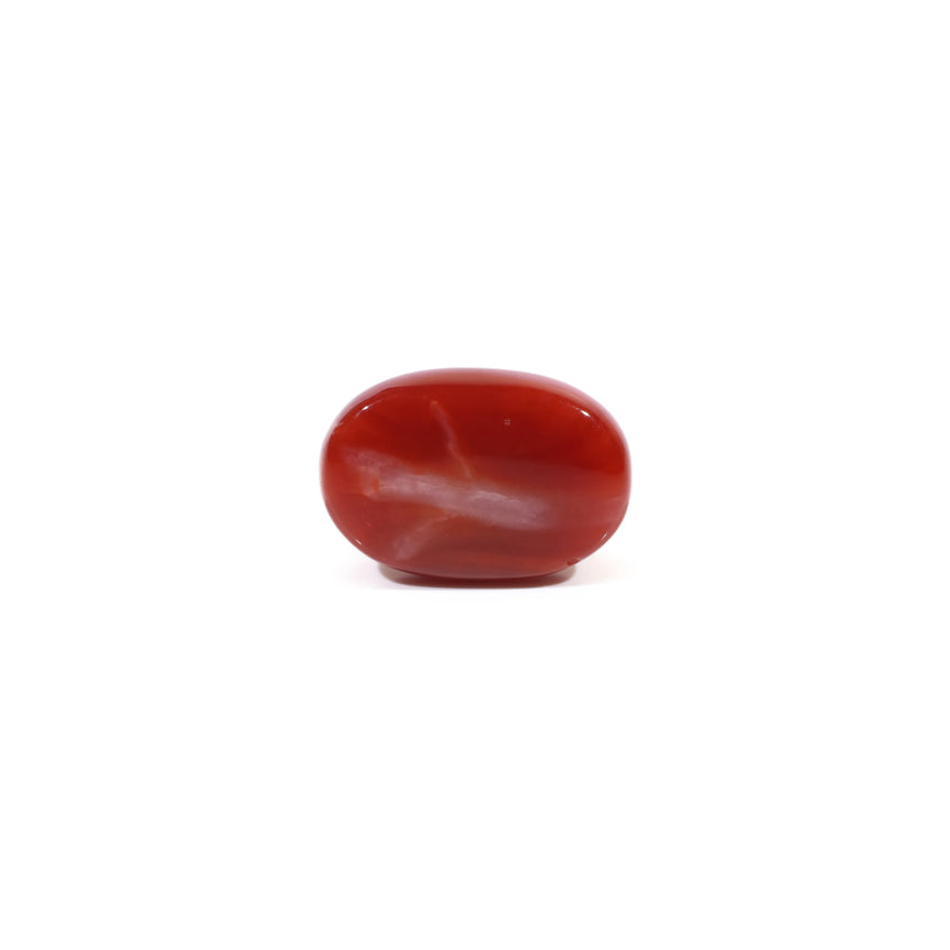 Japanese Red Coral - 4.57 Carat