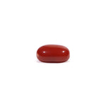 Japanese Red Coral - 4.57 Carat
