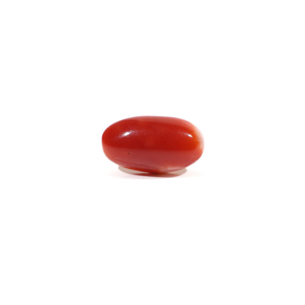 Japanese Red Coral - 3.45 Carat - Pramogh