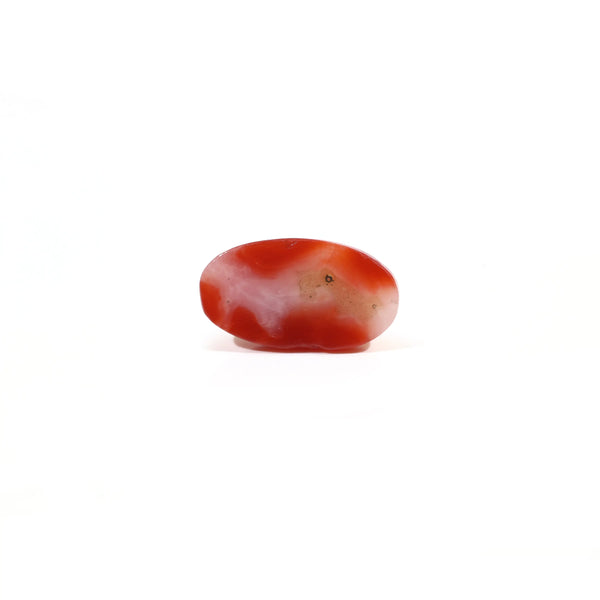 Japanese Red Coral - 3.45 Carat