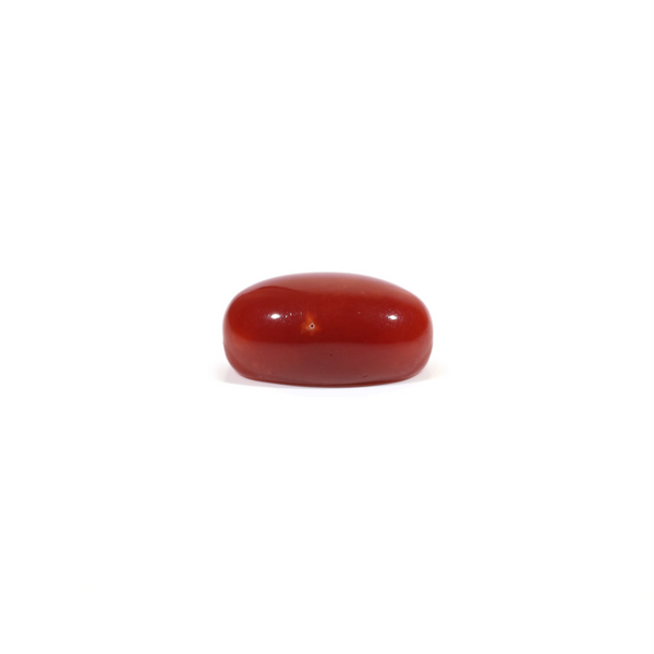 Japanese Red Coral - 3.63 Carat