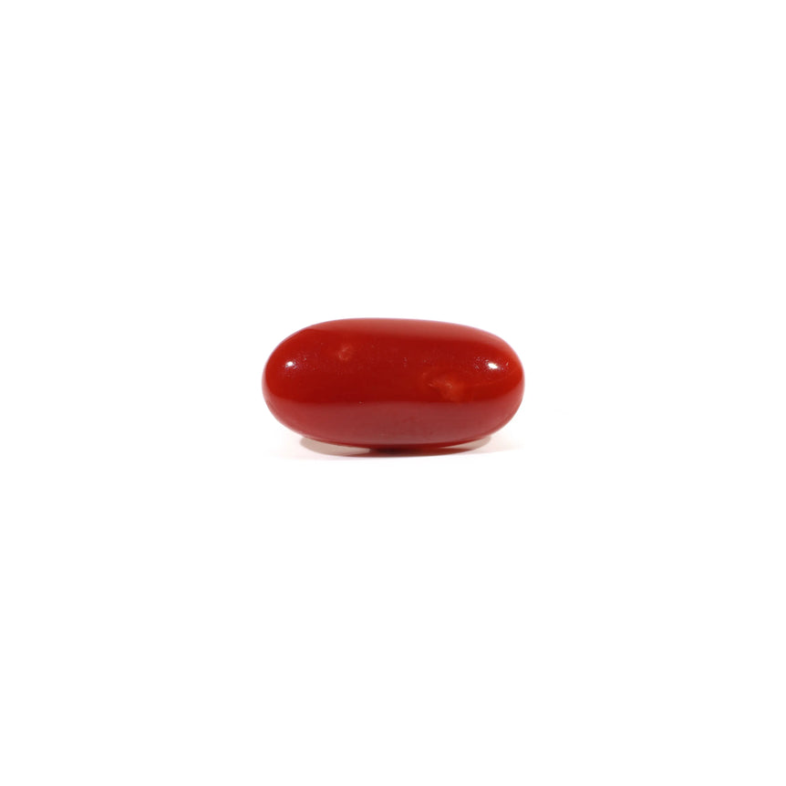 Japanese Red Coral - 3.15 Carat - Pramogh