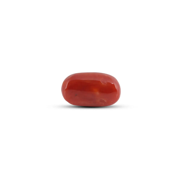 Japanese Red Coral - 9.9 Carat