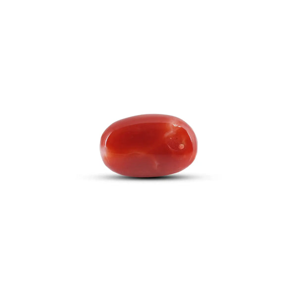 Japanese Red Coral - 5.75 Carat