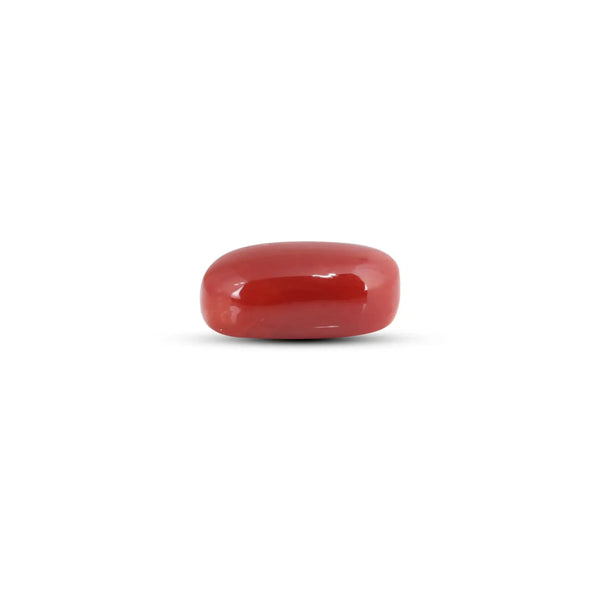 Japanese Red Coral - 5.75 Carat