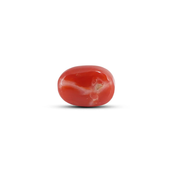 Japanese Red Coral - 6 Carat