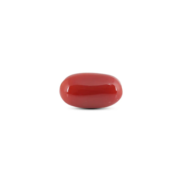 Japanese Red Coral - 7.85 Carat - Pramogh