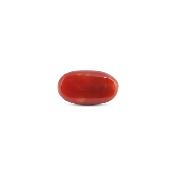 Japanese Red Coral - 7.85 Carat