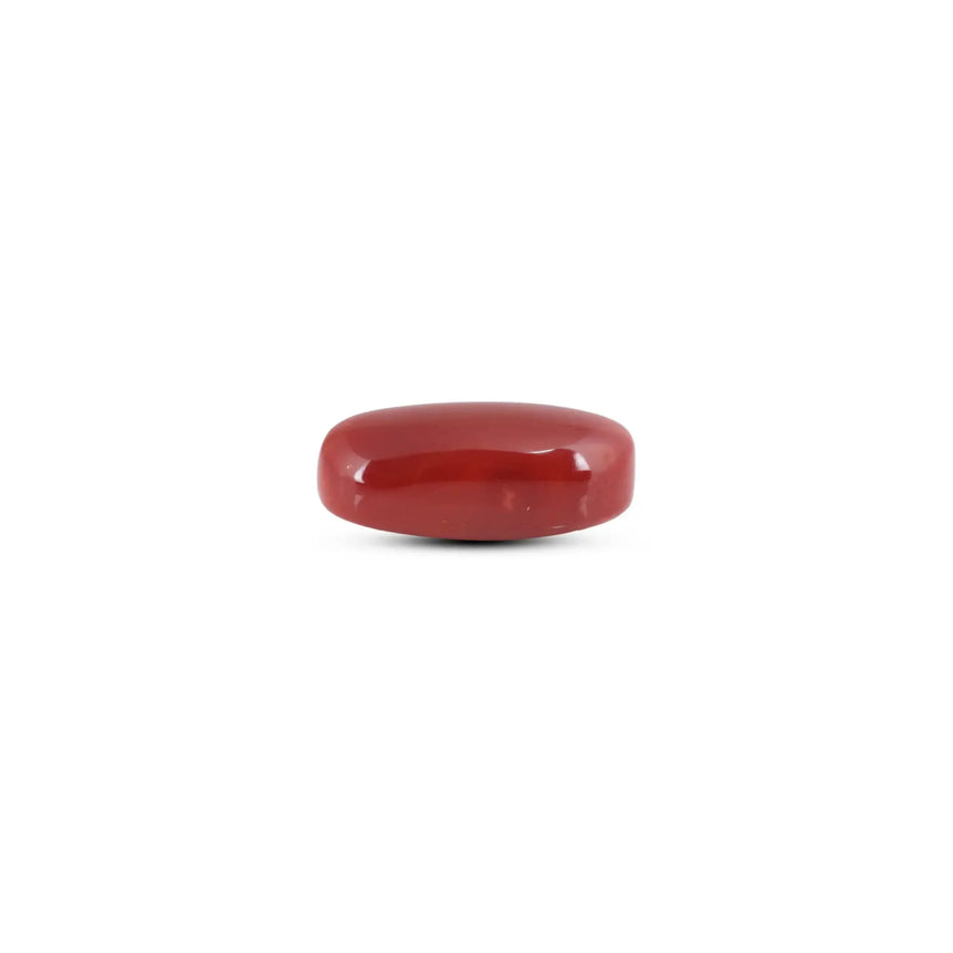 Japanese Red Coral - 8.3 Carat - Pramogh