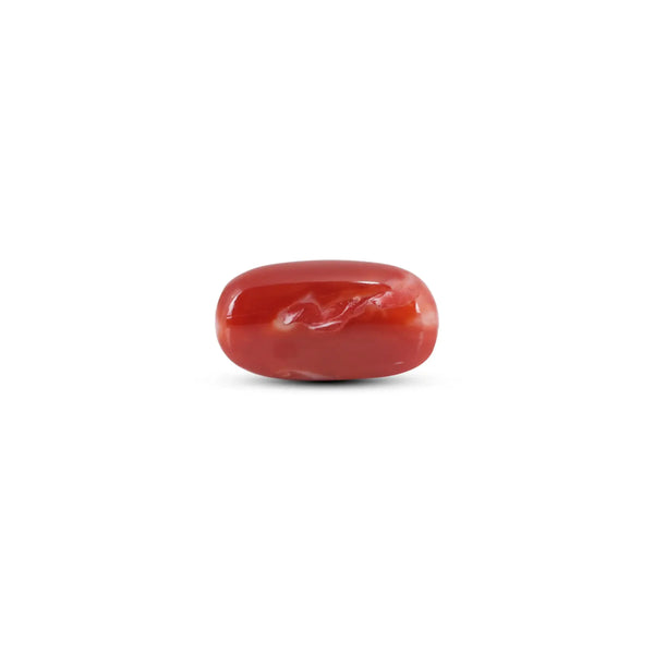 Japanese Red Coral - 8.2 Carat