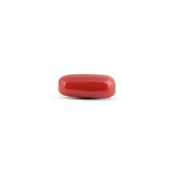 Japanese Red Coral - 7.45 Carat