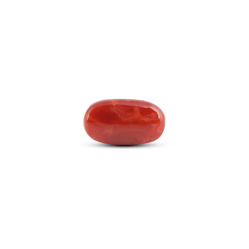 Japanese Red Coral - 11.5 Carat - Pramogh