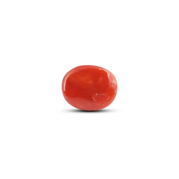 Japanese Red Coral - 10.2 Carat