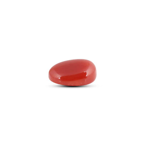 Japanese Red Coral - 10.2 Carat