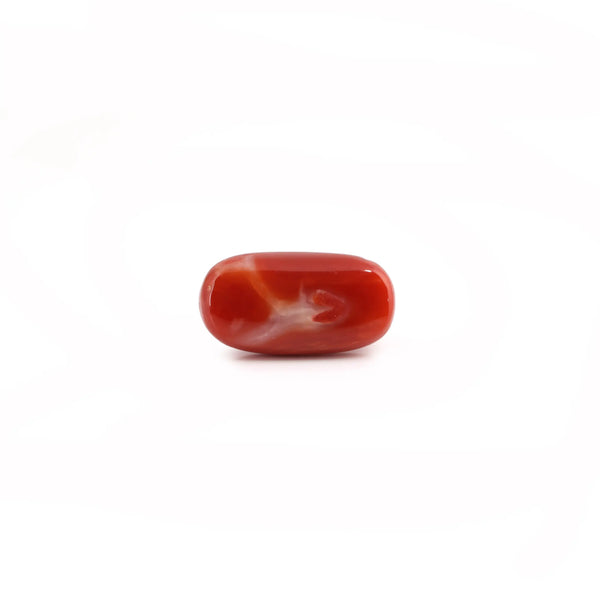 Japanese Red Coral - 9.1 Carat