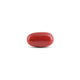 Japanese Red Coral - 7.35 Carat - Pramogh
