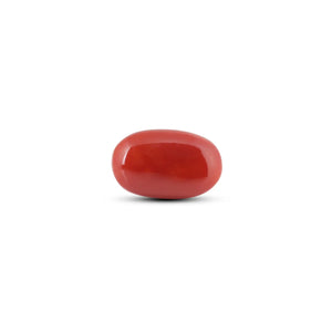 Japanese Red Coral - 7.05 Carat - Pramogh