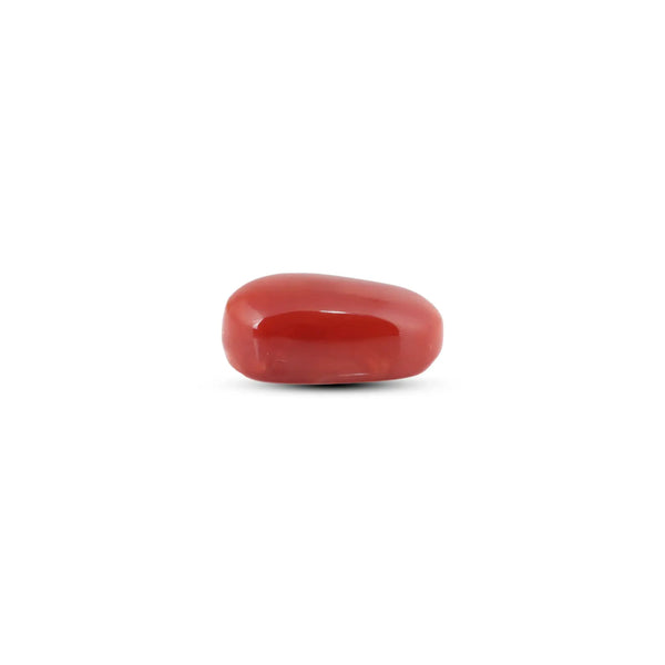 Japanese Red Coral - 7.05 Carat