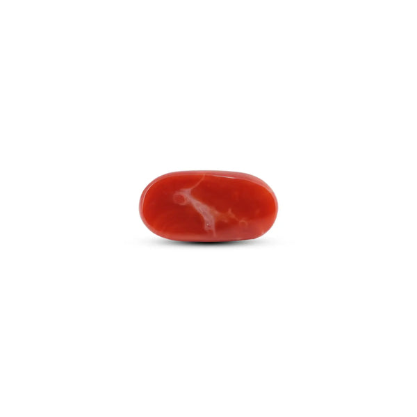 Japanese Red Coral - 9.55 Carat