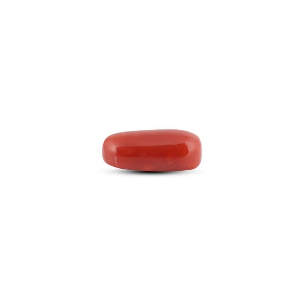 Japanese Red Coral - 9.55 Carat