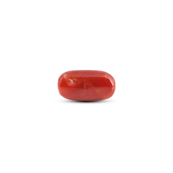 Japanese Red Coral - 9.95 Carat