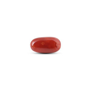 Japanese Red Coral - 11.55 Carat - Pramogh