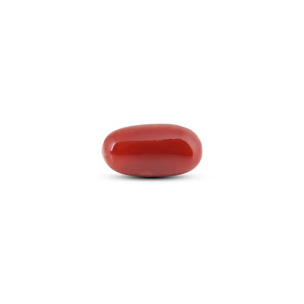 Japanese Red Coral - 11.55 Carat