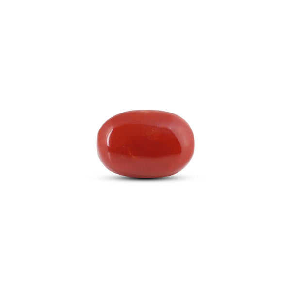 Japanese Red Coral - 14.2 Carat