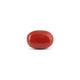 Japanese Red Coral - 14.2 Carat - Pramogh