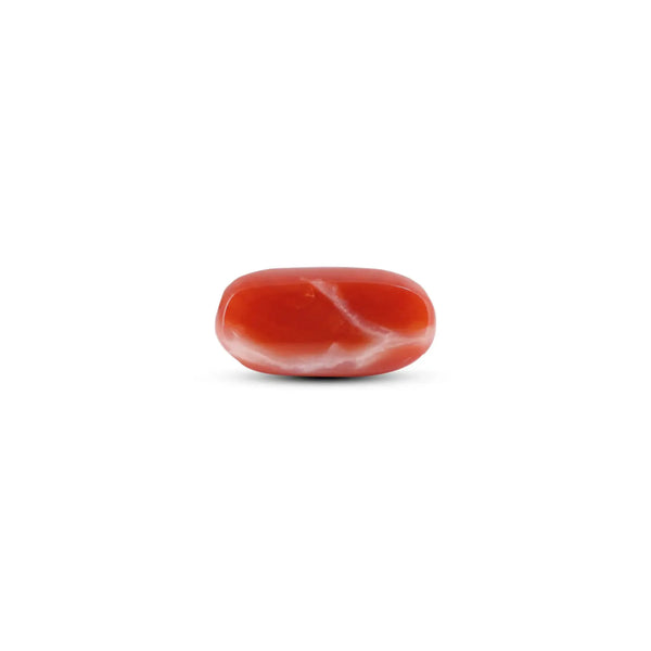 Japanese Red Coral - 6.55 Carat