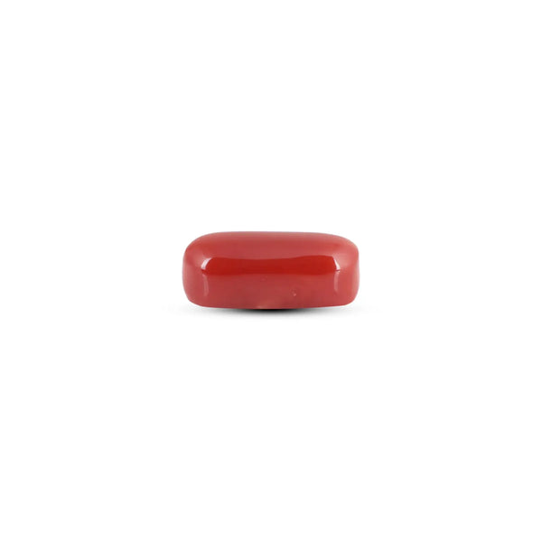 Japanese Red Coral - 6.45 Carat