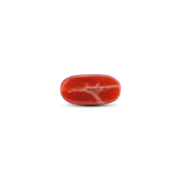 Japanese Red Coral - 7.9 Carat