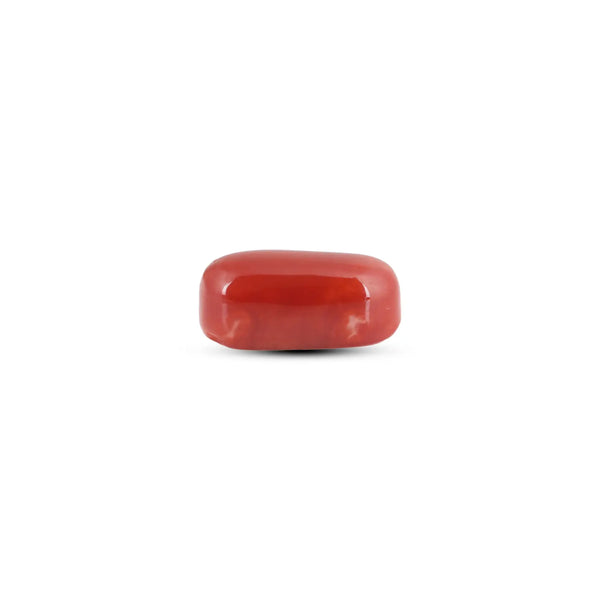 Japanese Red Coral - 7.9 Carat