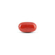 Japanese Red Coral - 8.4 Carat - Pramogh