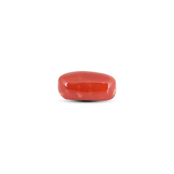 Japanese Red Coral - 8.4 Carat