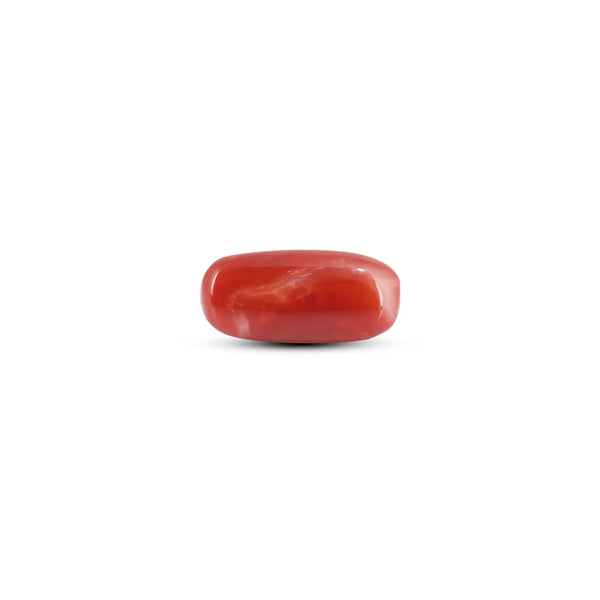 Japanese Red Coral - 5.7 Carat