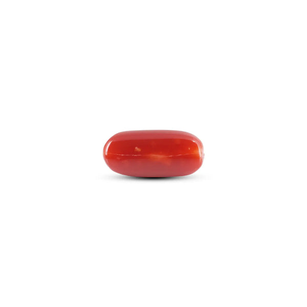 Japanese Red Coral - 6.65 Carat