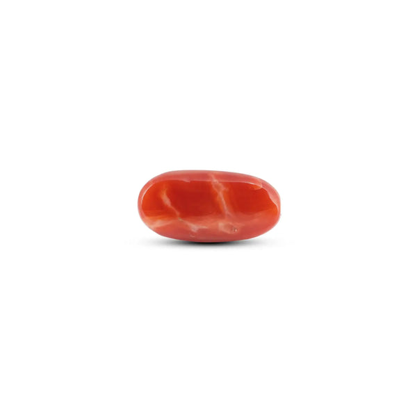 Japanese Red Coral - 5.9 Carat