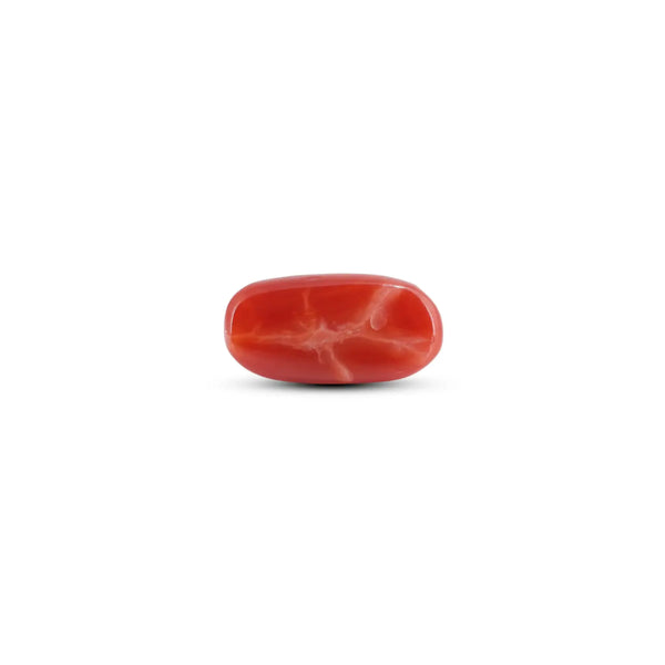 Japanese Red Coral - 6.45 Carat