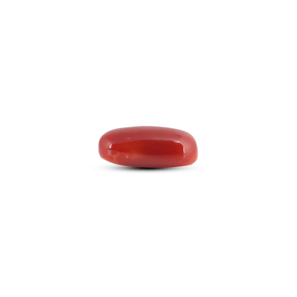 Japanese Red Coral - 6.7 Carat