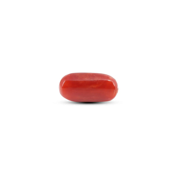 Japanese Red Coral - 5.8 Carat