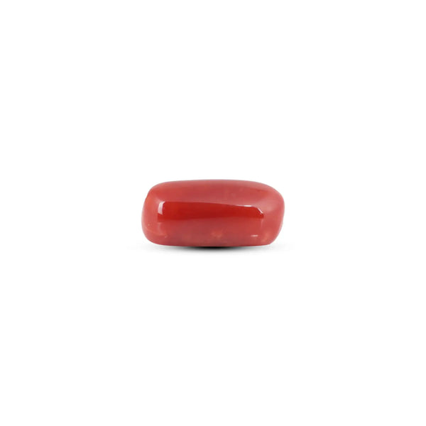 Japanese Red Coral - 5.8 Carat