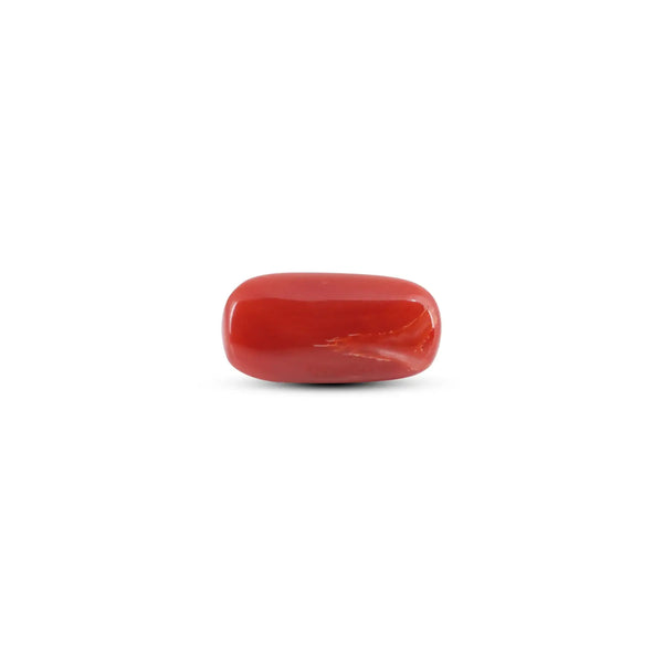 Japanese Red Coral - 5.8 Carat