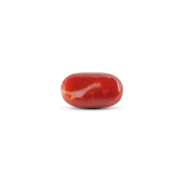 Japanese Red Coral - 5.75 Carat