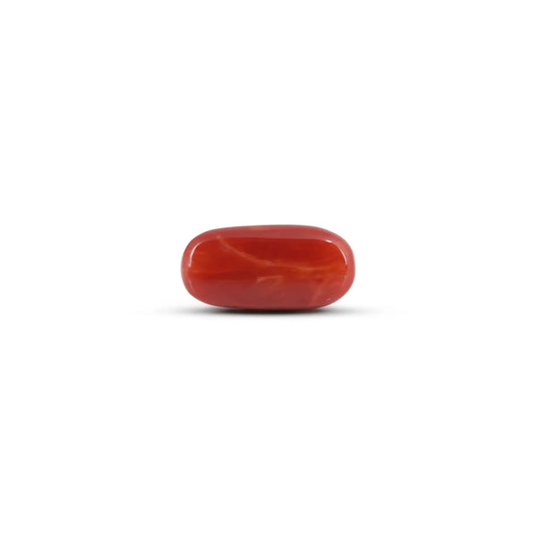 Japanese Red Coral - 5.85 Carat